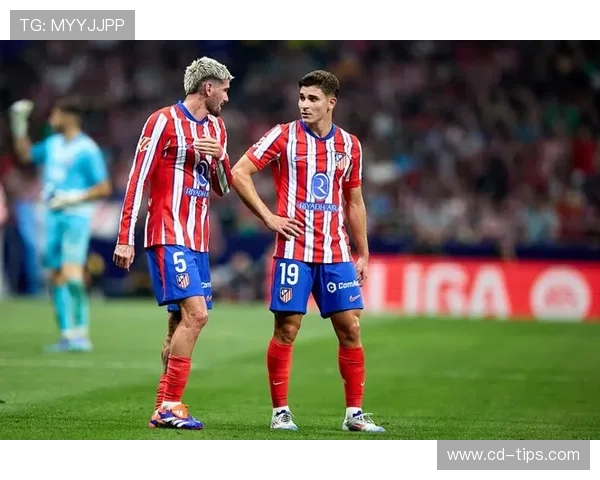 马竞球迷发言人:俱乐部球迷组织从未支持任何形式的暴力行为